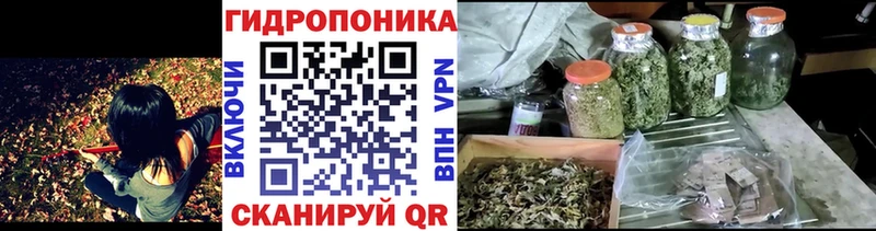 Магазины продажи наркотиков Димитровград Марихуана  мега ONION  Alpha-PVP  Меф мяу мяу  Псилоцибиновые грибы  ГАШ  Cocaine 