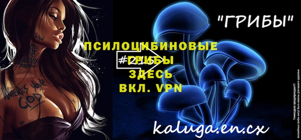 гидра Лагань