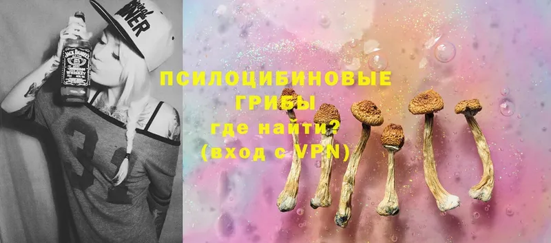 наркотики  Димитровград  Галлюциногенные грибы Psilocybe 