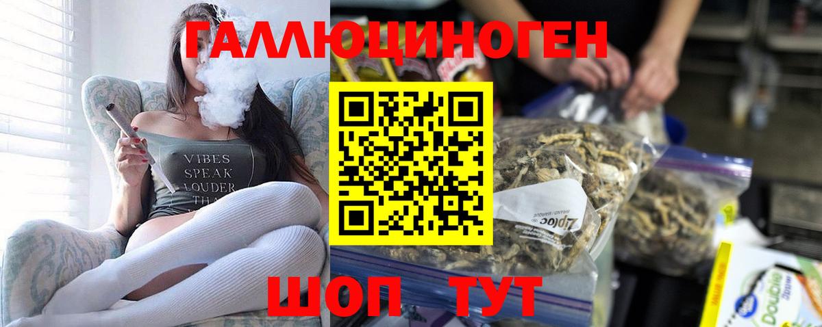 Галлюциногенные грибы MAGIC MUSHROOMS Димитровград
